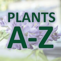 Plants A-Z